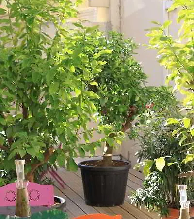 The Originals Boutique, Alize,